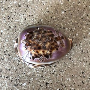 Rose Carved Sea Shell 🐚